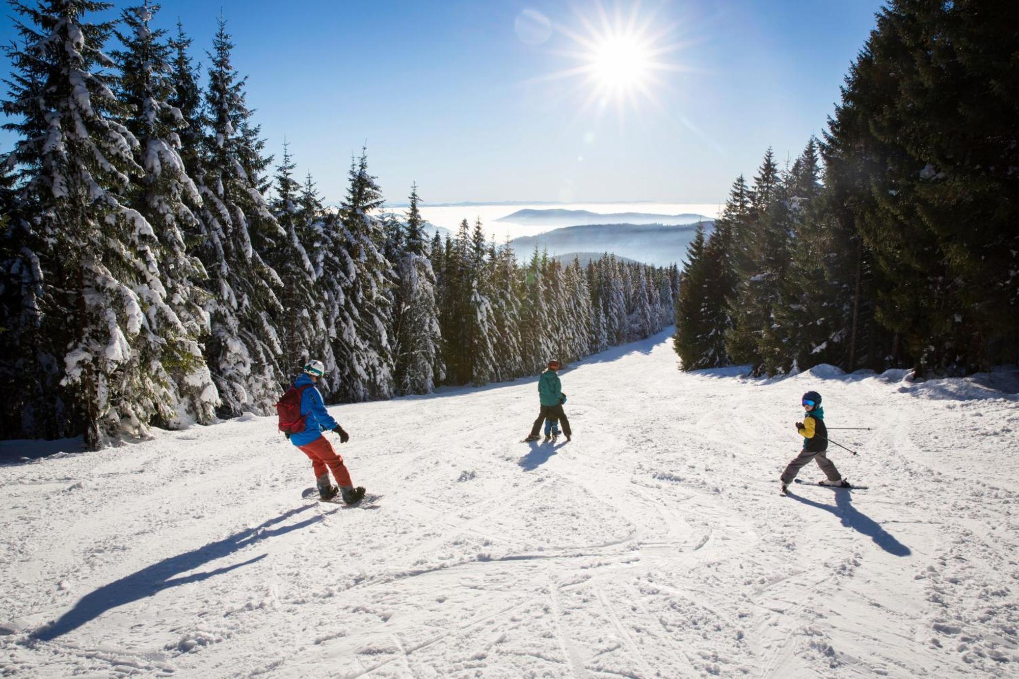 Haus Wiesenquelle - Fewo 14 "Timeout", Feldberg Rinken Luaran gambar